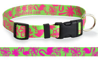 La Te Da on Lime Dog Collar