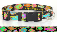 Tropical Reef Fish Black Dog Collar