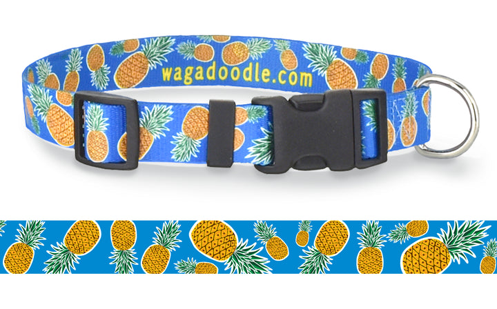 Pineapples on Blue Personalized Dog Collar
