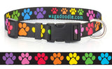 Rainbow Paw Prints Dog Collar Black