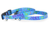 Sea Turtles Turquoise Personalized Dog Collar