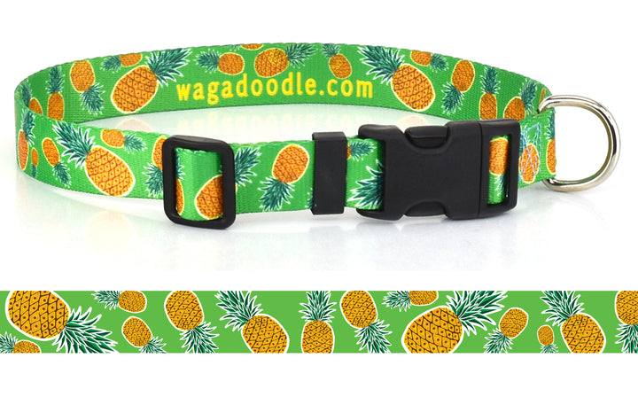 Pineapples on Lime Personalized Dog Collar