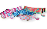 Valencia Martingale Dog Collar