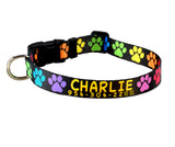 Rainbow Prints Personalized Dog Collar