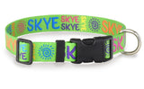 Signature-Autograph Personalized Dog Collar Lime Green