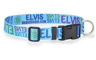Signature-Autograph Personalized Dog Collar Turquoise