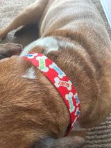 Red Signature Bones Personalized Dog Collar