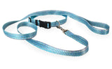 Tarpon Personalized Dog Collar