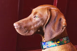 Geckos on Blue Personalized Dog Collar