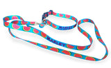 Dog leash with watermelon pattern and 'Marley' branding on a white background