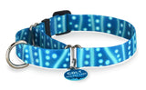 Whale Shark Personalized Martingale