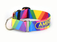 Rainbow Viscaya Personalized Martingale Dog Collar