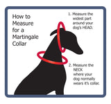 Pictorial instructions as well as step by step instructions on how to measure a dog's neck and head to custom fit a martinglale dog collar made by Wagadoodle.