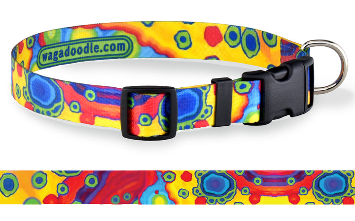 Summer Fling Abstract Art Personalized Dog Collar