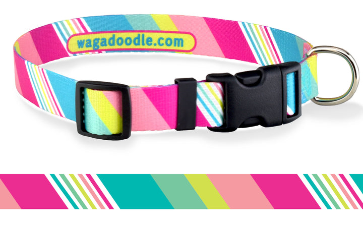 Candy Delight Stripes Personalized Dog Collar