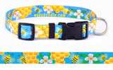 Honey Bees Turquoise Personalized Dog Collar