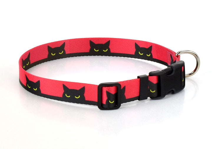 Halloween Bad Kitty Dog Collar