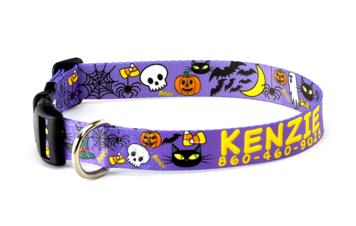 Halloween Funny & Not to Scary Purple Dog Collar