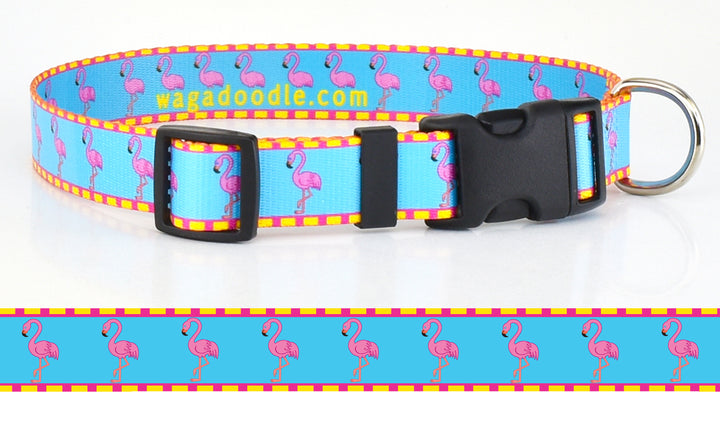 Pink Flamingos with Border on Turquoise Personalized Dog Collar
