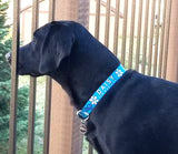 Hawaiian Breeze Blue Personalized Dog Collar