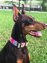 Peace, Love & Hippie Personalized Dog Collar