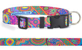Dreamstime Personalized Dog Collar