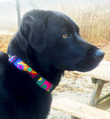 Walk-About Personalized Dog Collar