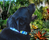 Coastal Ocean Personalized Dog Collar