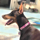 Hawaiian Breeze Pink Personalized Dog Collar