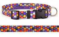 Hexa Personalized Dog Collar