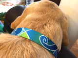 Atlantis Blue Ocean Dog Collar