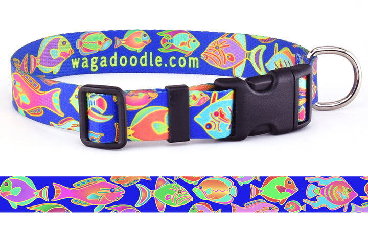 Tropical Reef Fish Blue Personalized Dog Collar