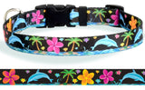 Key West Dolphins Jumping in the Ocean surrounded by Tropical Frangipani also called Hawaiian Plumeria Flowers with Palm Trees on Black Dog Collar. 