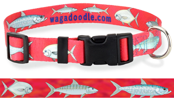 Red Dog Collar with Fly fishing  salt water flats in the Florida Keys Backcountry for Bonefish, Permit and Tarpon is a Grand Slam with this Fish themed Design on it.