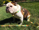 Seashore Yellow Personalized Dog Collar