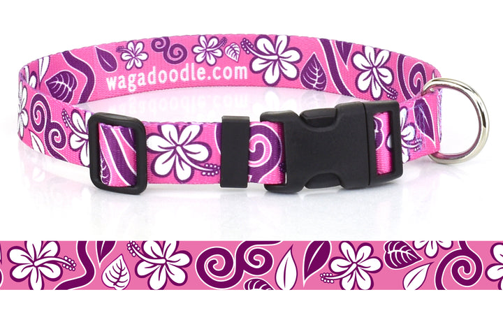 Hawaiian Breeze Pink Dog Collar