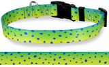 Mahi dolphin fish also called dorado flashes florescent green and yellow skin, this dog collar has artwork of that design as artwork on the dog collar