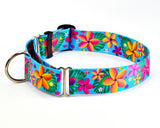 Martingale dog collar with bold pink and yellow Frangipani Hawaiian Plumerias tropical Flowers on a bright turquouse background.