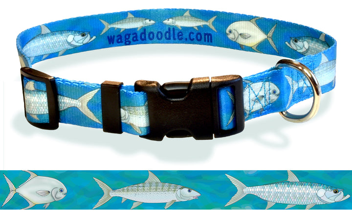 Dog Collar with artwork printed on it that has bonefish, tarpon and permit on it with a blue background
