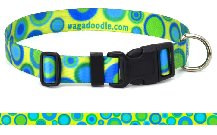 Spyro Gyra Personalized Dog Collar