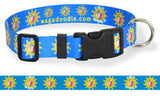 A bright blue dog collar with the seal of the Conch Republic Flag.