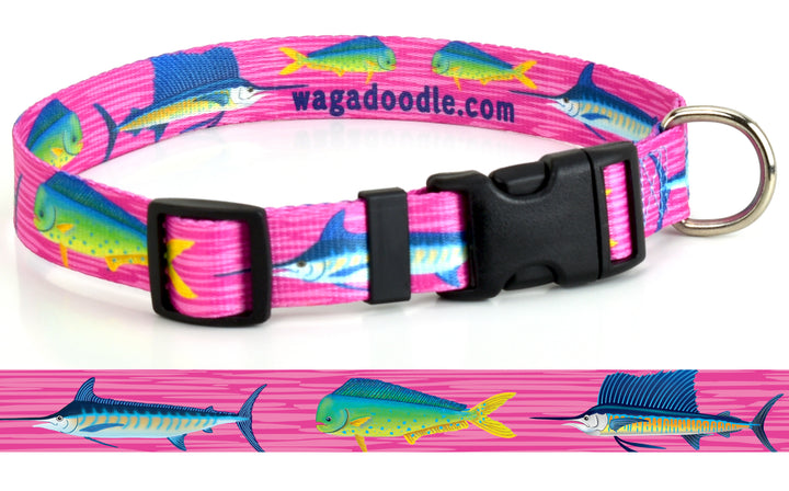 small medium large Pink dog collar with marlin, sailfish and Mahi which are the grandslam of deep sea offshore fishing.