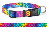 Rainbow Honeycomb Personalized Dog Collar