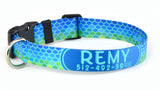 Plexus Personalized Dog Collar