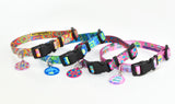 Four bright and colorful dog collars with matching pet ID tags