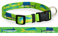 Dog Collar Mahi Marlin Sailfish Offshore Deep Sea Fishing dog collar artwork by local Key West Artist Wagadoodle