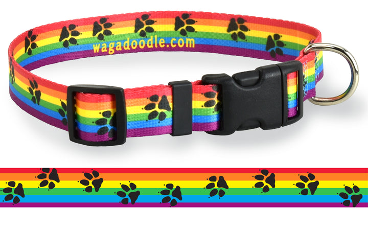 Rainbow Flag Paws Dog Collar