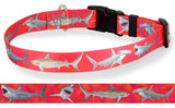 Personalized red background dog collar artwork with high quality art of a great white shark, tiger shark, blue shark, hammerhead shark and an oceanic white tip shark 