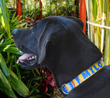 Coastal Beach Personalized Dog Collar