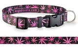 Marijuana Pink Personalized Dog Collar